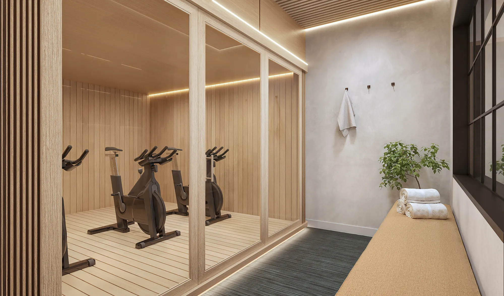 3D rendering of a glass-walled, wood-lined training studio at a boutique Aspen studio, fitted with a row of stationary spin bikes, with a towel bench and a potted plant alongside.