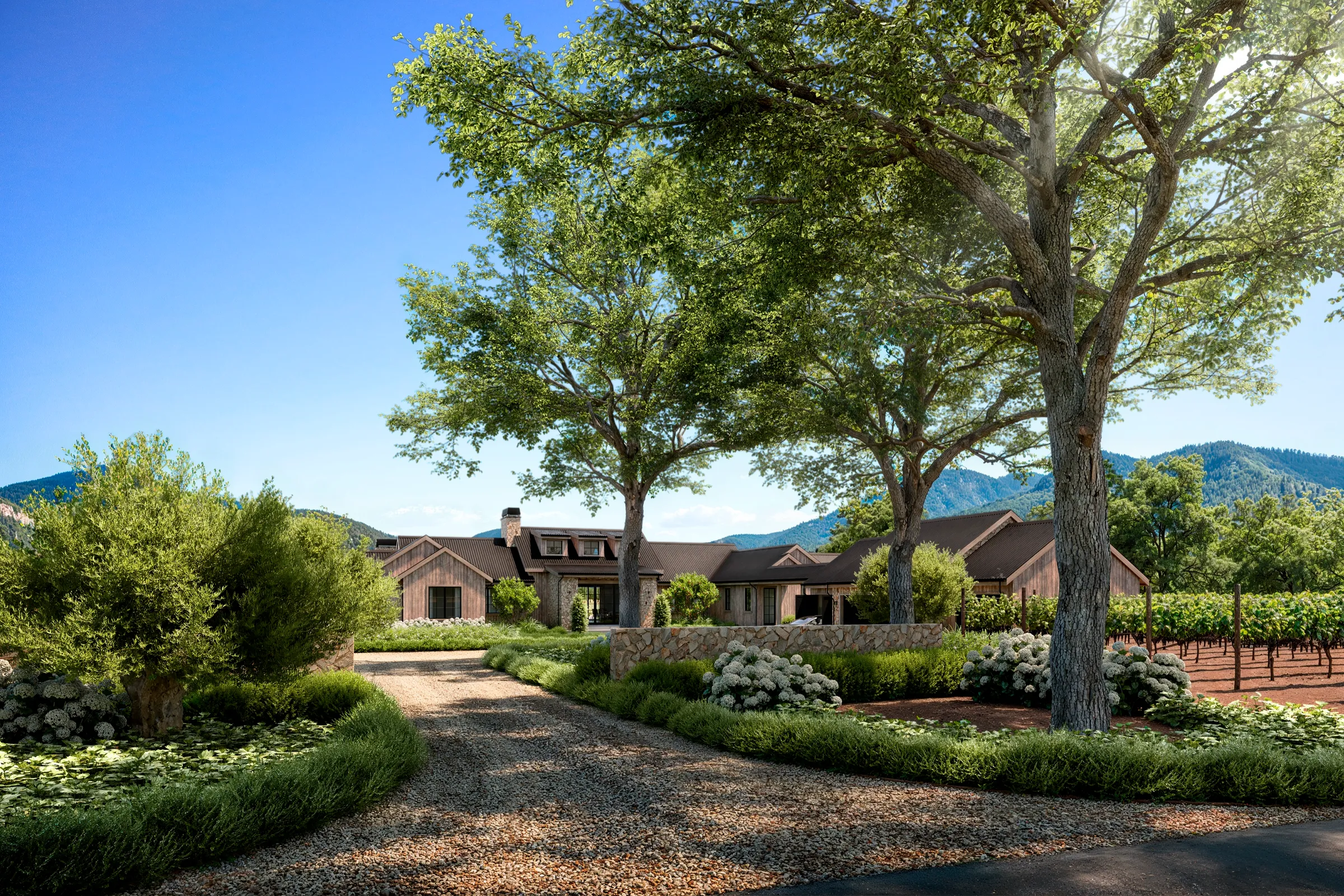 3D rendering of the arrival at a Napa Valley estate in St. Helena, the low board-and-batten house glimpsed past two mature oak trees and a curving gravel drive lined with hydrangeas and native planting.
